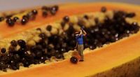 Papaya Open von Ulrike Schopp Miniaturansicht