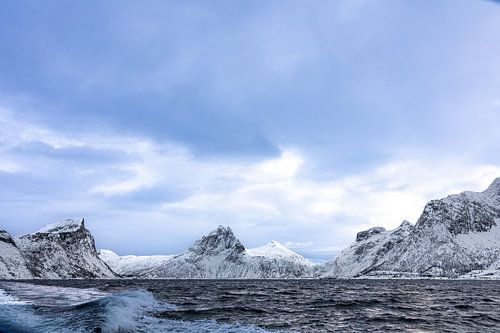 from the boat