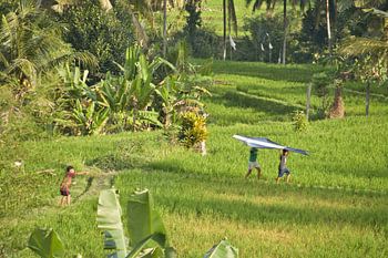 Enfants heureux avec un cerf-volant à Bali