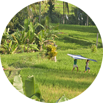 Vrolijke Kinderen met Vlieger in Bali