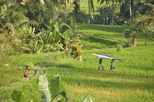 Glückliche Kinder mit Drachen in Bali