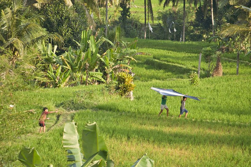 Glückliche Kinder mit Drachen in Bali von Joran Quinten