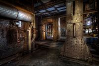 Concrete jungle in an abandoned steel factory