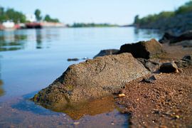 Ufer des Flusses Elbe bei Magdeburg von Heiko Kueverling