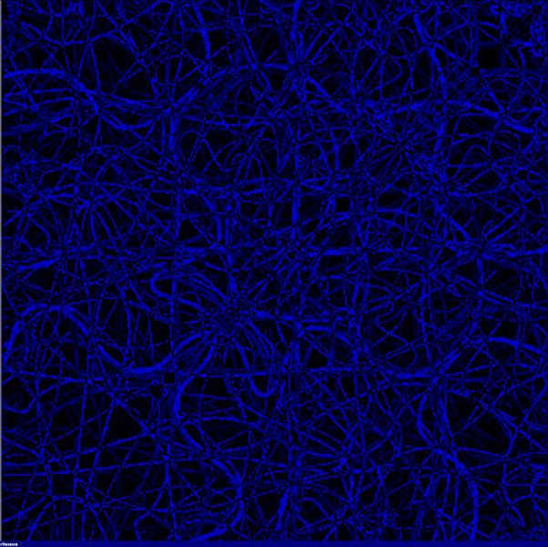 a.linee.1 by rita sacco