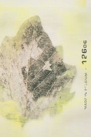 126.06 hergestellt in Belgien von Ruud van Oeffelen-Brosens