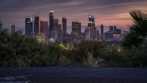 Die Skyline von DTLA vom Elysian Park aus