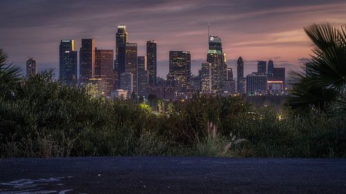 DTLA Skyline vanaf Elysian Park van Photo Wall Decoration