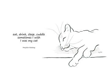 I wish I was my cat haiku Englisch