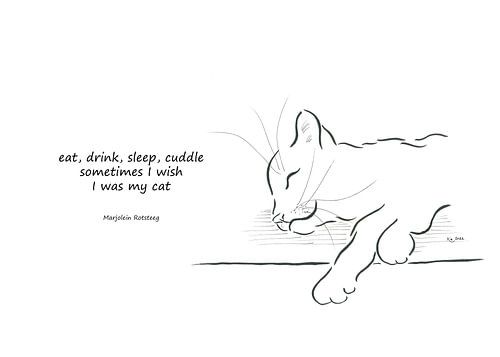 I wish I was my cat haiku Anglais