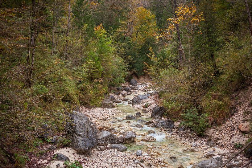 Almbach Gorge by Torsten Krüger