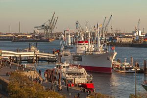 Cap San Diego, Hamburg