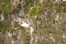 Rock Structures No. 01