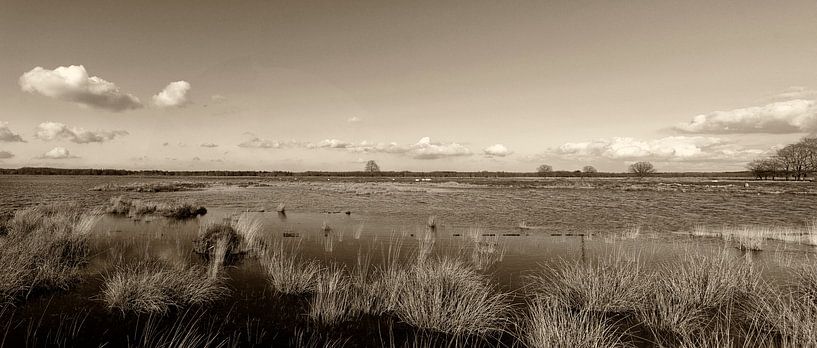Panorama impression of the Dwingelderveld by Humphry Jacobs