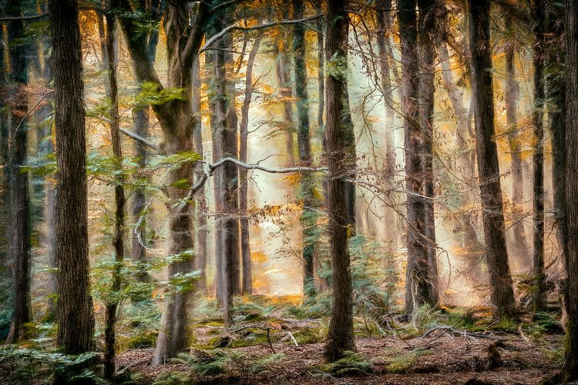 Late Summer paintograph by Lars van de Goor