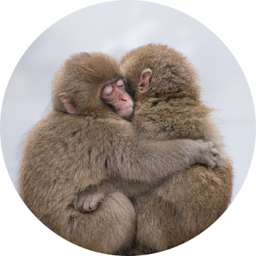 Voor altijd vrienden van Takeshi Marumoto