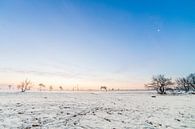 Snow landscape  by Thomas van der Willik thumbnail