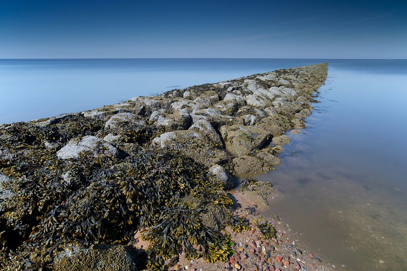 Wellenbrecher mit Blase Algen auf dem Wattenmeer in absteigender Flut von Dirk-Jan Steehouwer