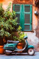 Vespa and plants