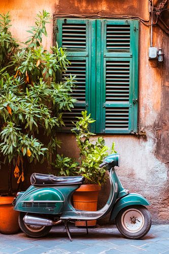 Vespa und Pflanzen