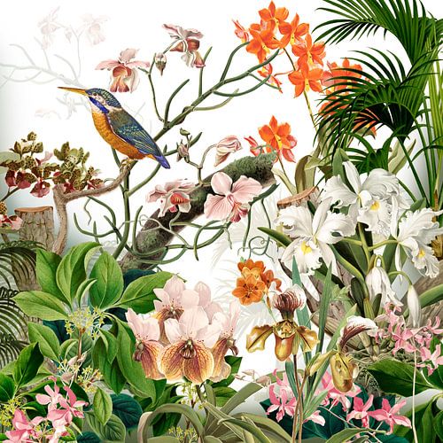 De ijsvogel met de orchideeën