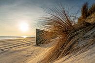 Het strand van Jolanda Bosselaar thumbnail