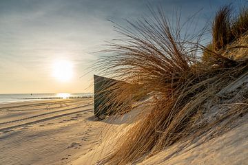 Het strand van Jolanda Bosselaar