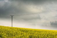 Bewölkt mit einer Chance auf Regen von Lex Schulte Miniaturansicht