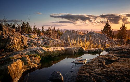 Autumn atmosphere in the Harz Mountains