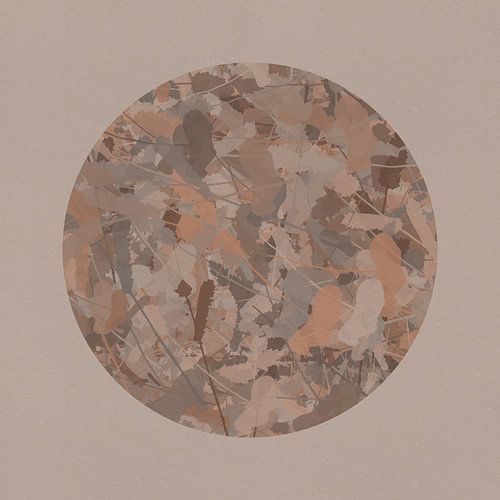 Japandi botanisch in neutraal beige en bruin. Klaprozen.