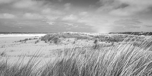 Plage à Schiermonnikoog