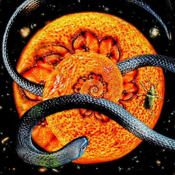 Sur l'orangine des espèces (serpent orange spiralé) par Ruben van Gogh - smartphoneart