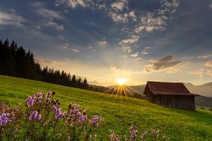 Sonnenuntergang in den Buckwiesn bei Krün in Oberbayern