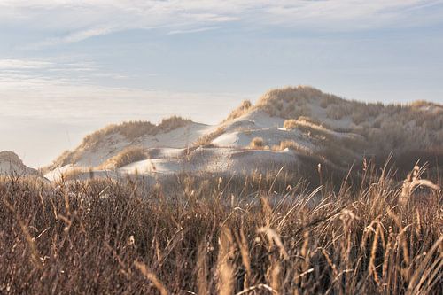 Zonnig duinlandschap met helmgras op Terschelling