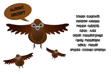 Cockney sparrah. van Grüntyers .