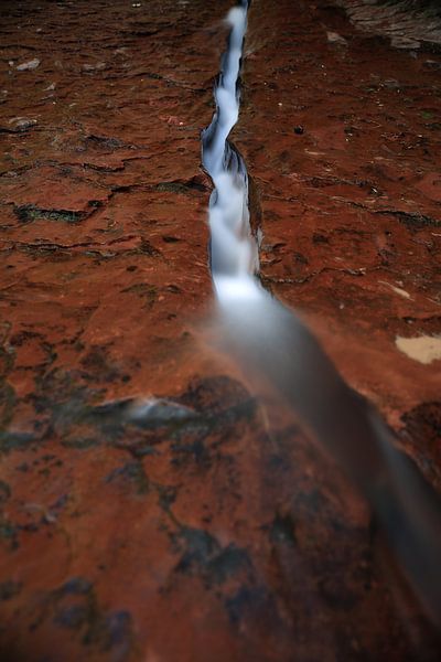 Water stroomt door spleet in rode rots, Zion National Park, Utah van Frank Fichtmüller