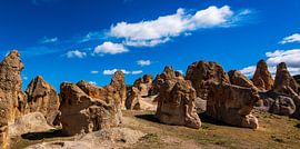 Frigya by Roland's Foto's