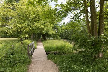 Jaagpad langs de Kromme Rijn by Marijke van Eijkeren