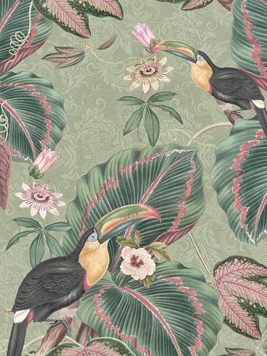 Toekanvogels en passiflorabloemen in tropische tuin