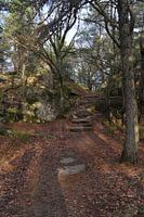 wandelpad in de natuur