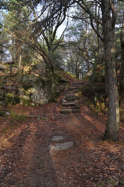 sentier de randonnée par Jeroen Franssen