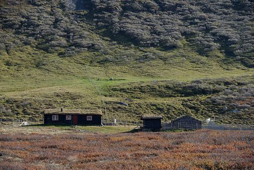 Noorwegen, berglandschap met hutten
