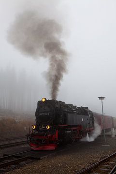 Die Brockenbahn im Nebel am Bahnhof Schierke von t.ART