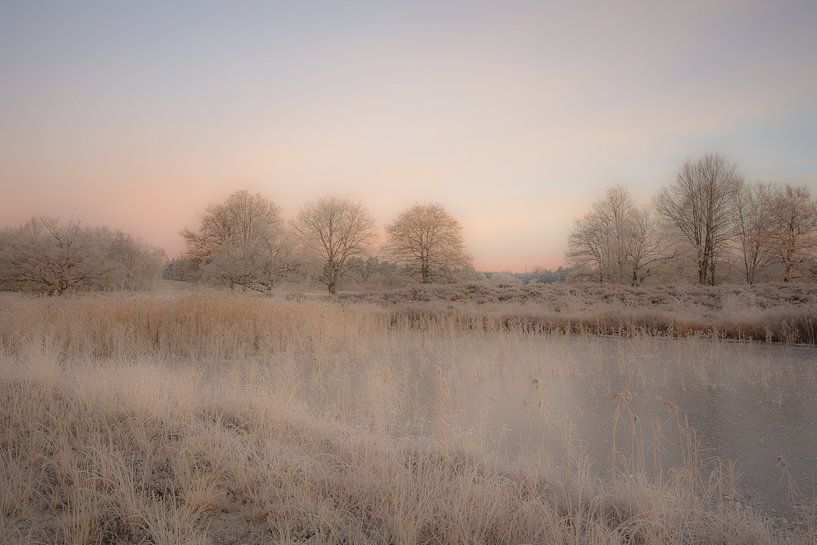 sunrise by Bart Liesenborgs