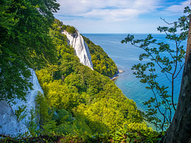 Insel Rügen - Königsstuhl Kreidefelsen von Thomas Bugdoll