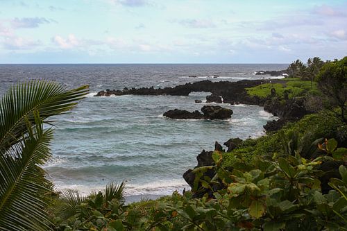 Lavastrand Hawaii