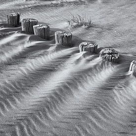 Rangée de pieux sur la plage en noir et blanc sur Heidi Bol