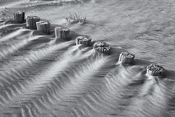 Pfahlreihe am Strand in Schwarz und Weiß von Heidi Bol