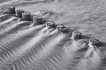 Rangée de pieux sur la plage en noir et blanc sur Heidi Bol