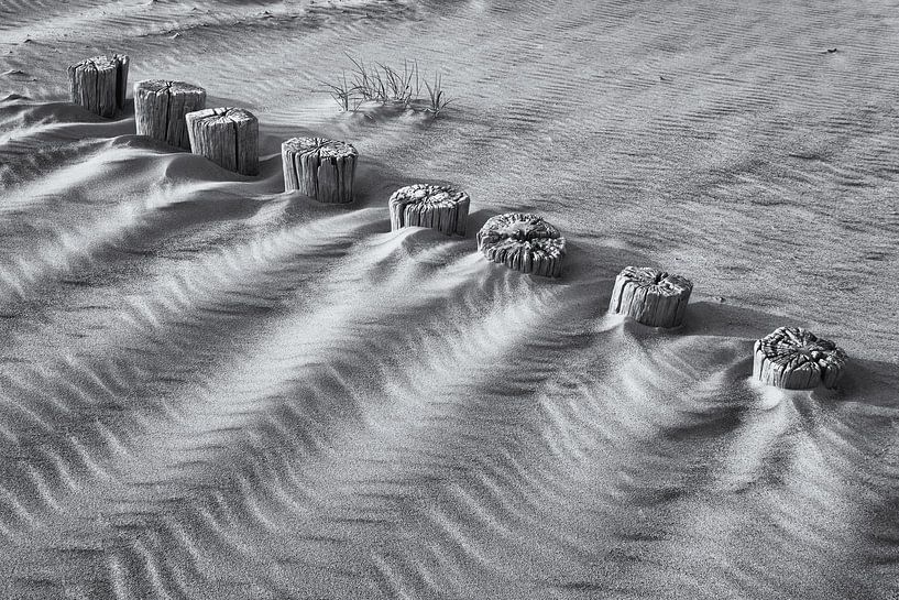 Pile row on the beach in black and white by Heidi Bol